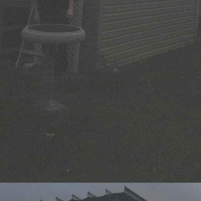 Life Petting album cover