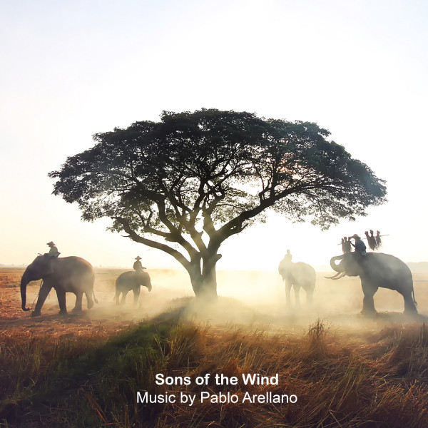 Sons of the Wind album cover