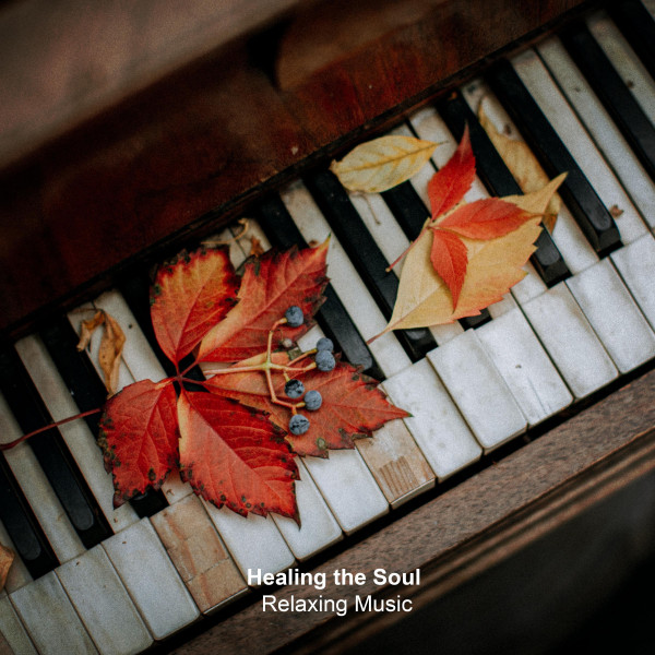 Healing the Soul Relaxing Music album cover