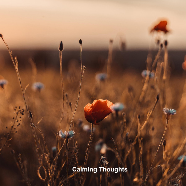 Calming Thoughts album cover
