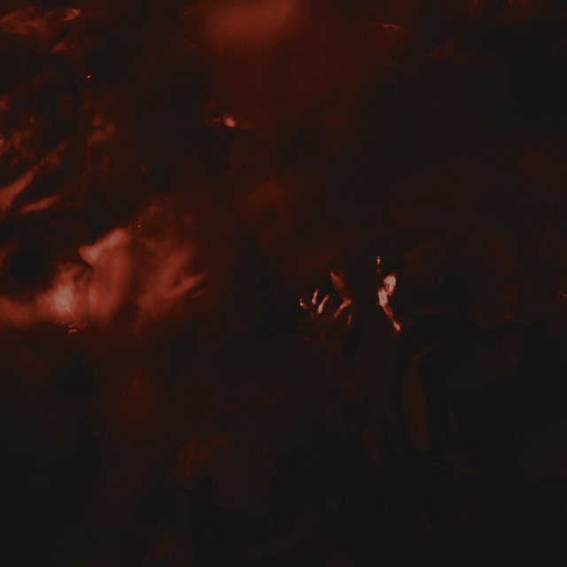 Torrent album cover