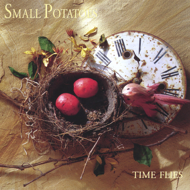 Time Flies album cover