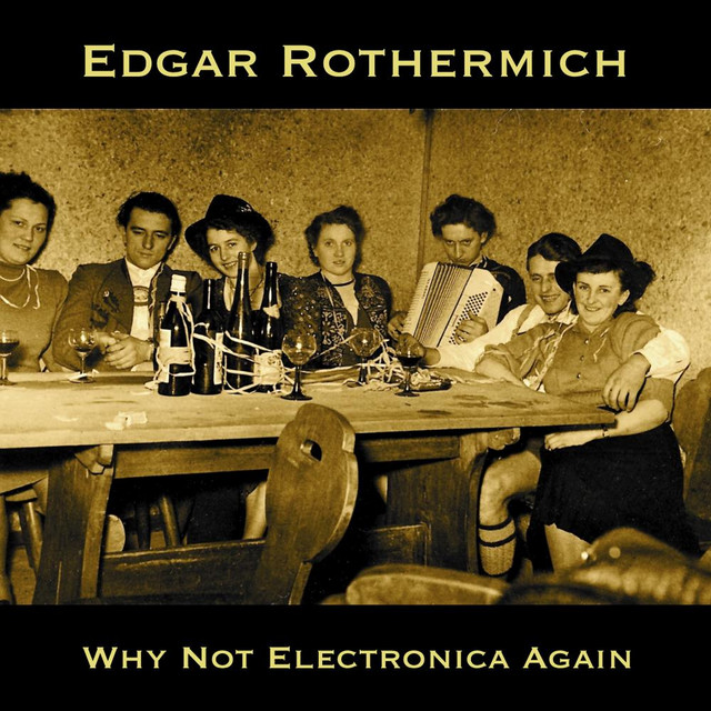 Why Not Electronica Again album cover