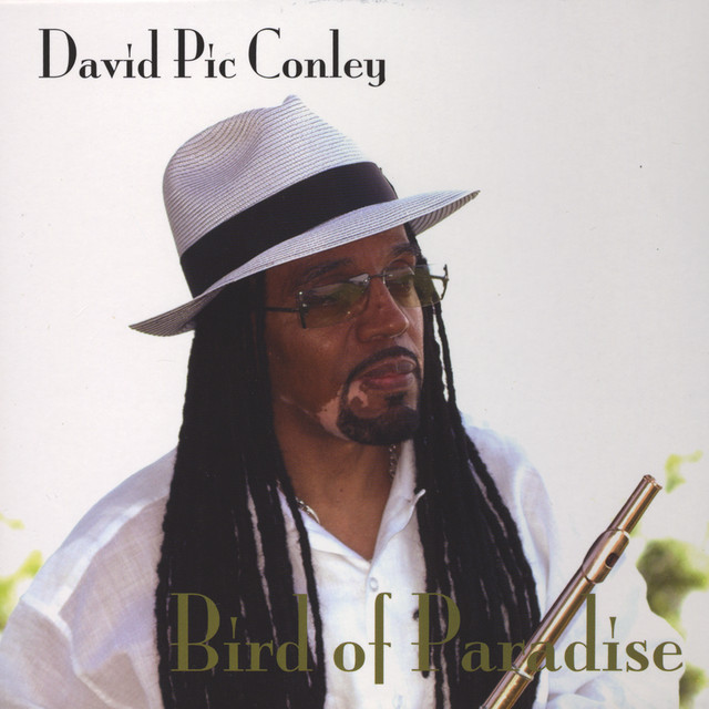 Bird Of Paradise album cover