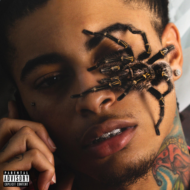 Rare Form album cover