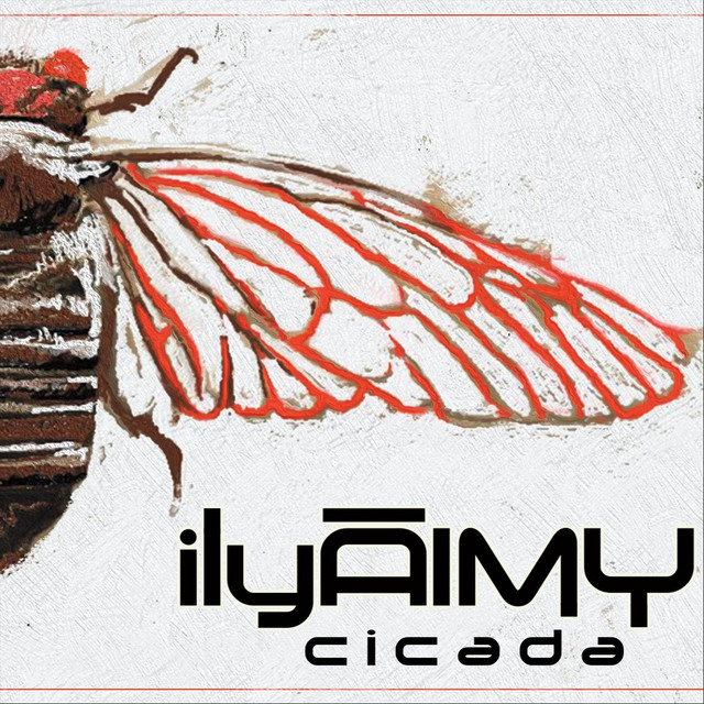 Cicada album cover