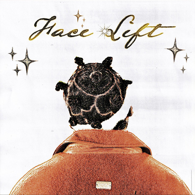 Face Lift album cover