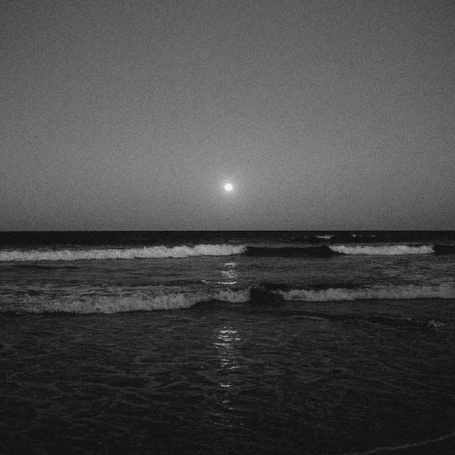 too late album cover