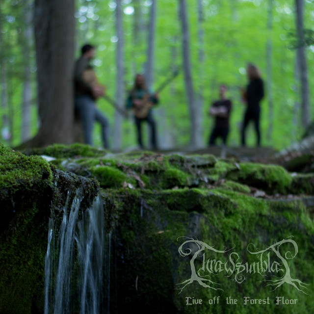 Live Off the Forest Floor album cover