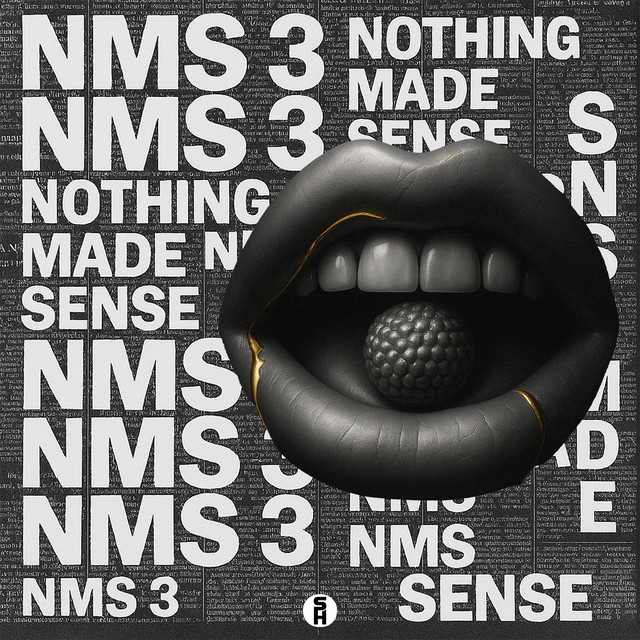 NMS 3 album cover