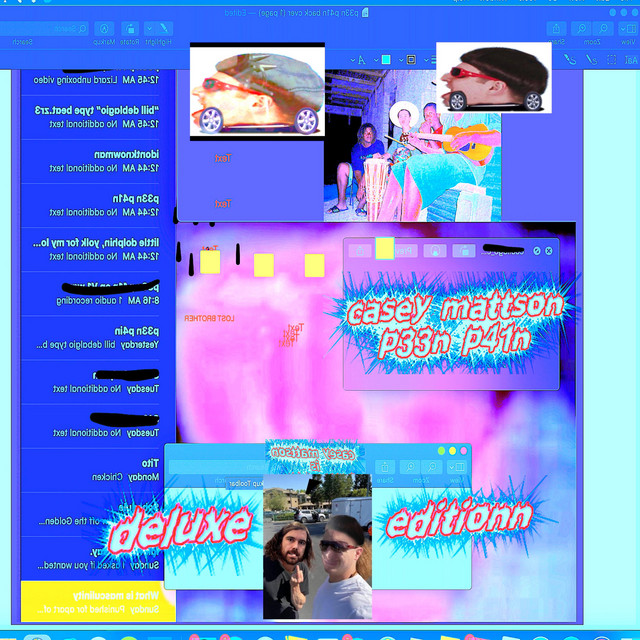 p33n p41n d3lux-zR3b00k album cover