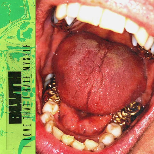 I LOVE THAT I HATE MYSELF album cover