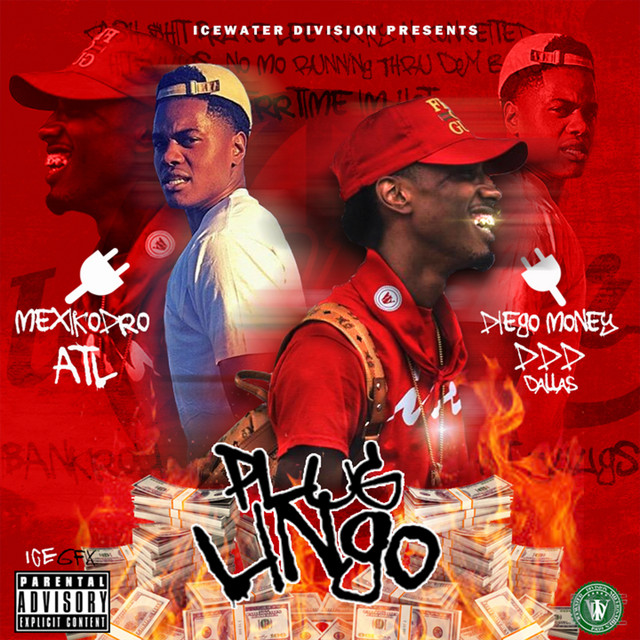 Plug Lingo album cover