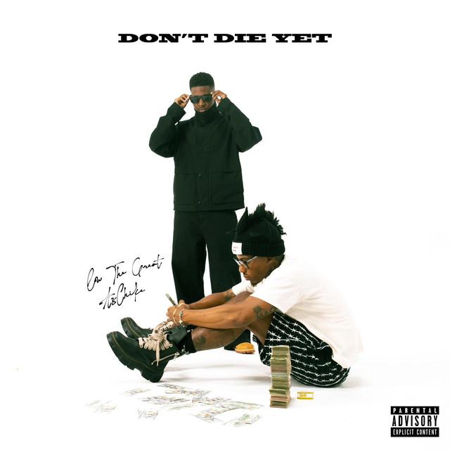 Don't Die Yet album cover