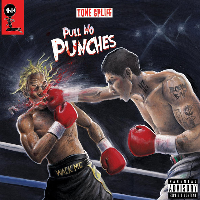 Pull No Punches album cover