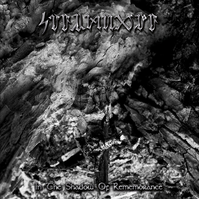 In the Shadow of Remembrance album cover
