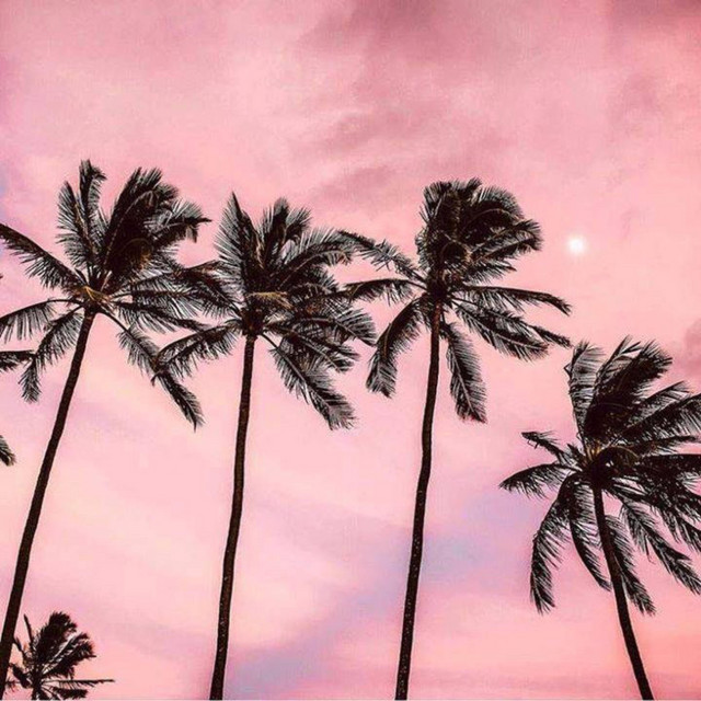 Vintage Vibes by Gold album cover