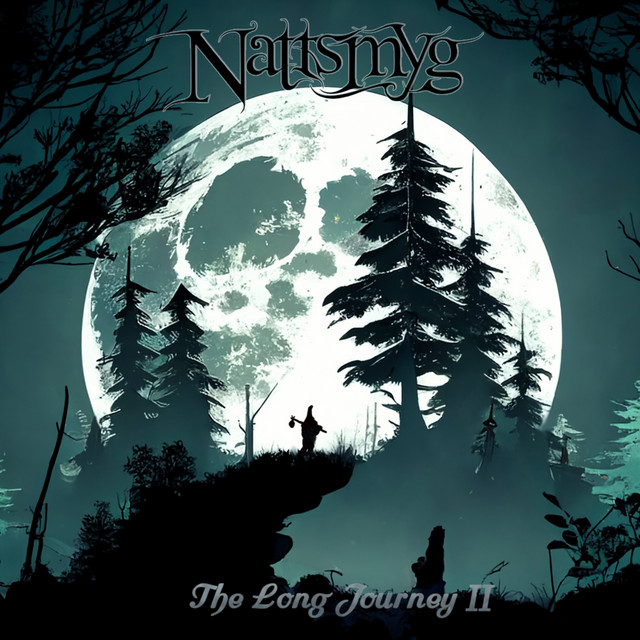 The Long Journey II album cover