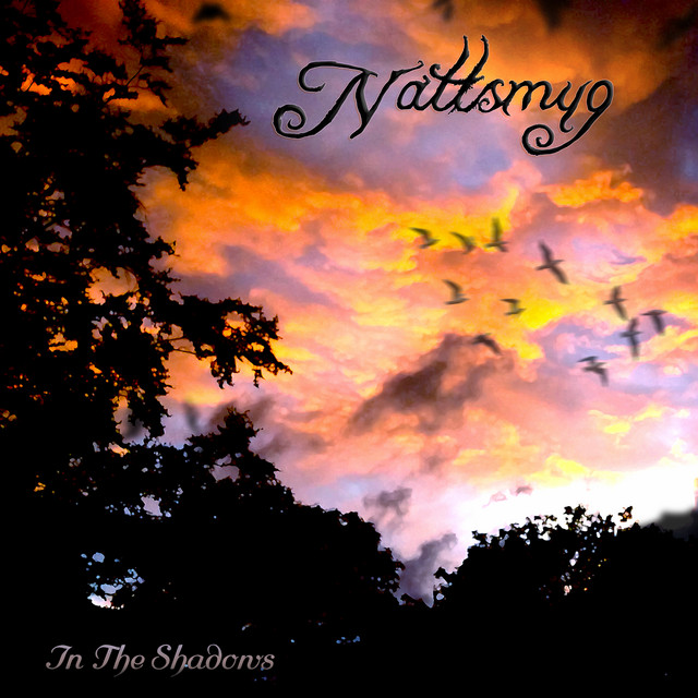 In The Shadows album cover