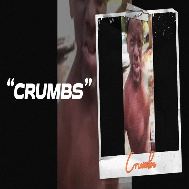 I dont want to lose my Crumbs album cover