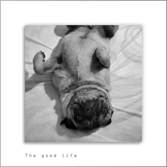The good life album cover