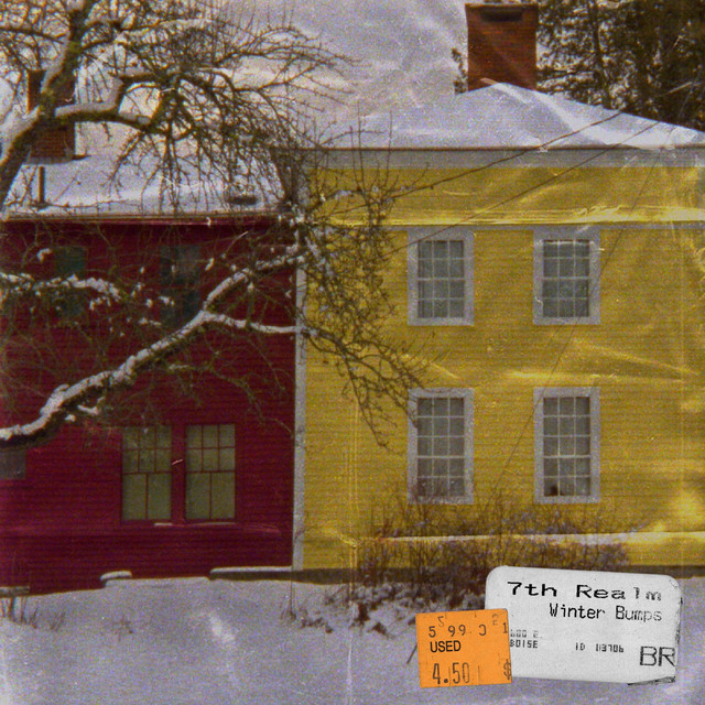 Dusty winter bumps album cover
