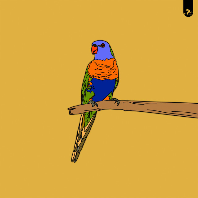 Manakin / Lorikeet