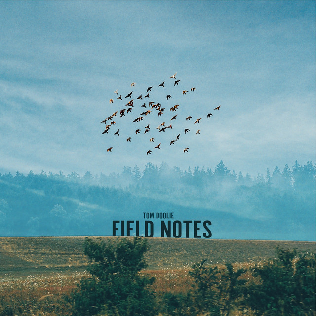Field Notes album cover