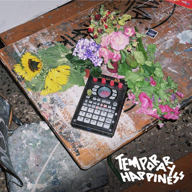 Temporary Happiness album cover