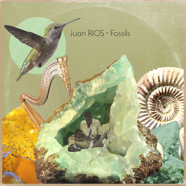 Fossils album cover