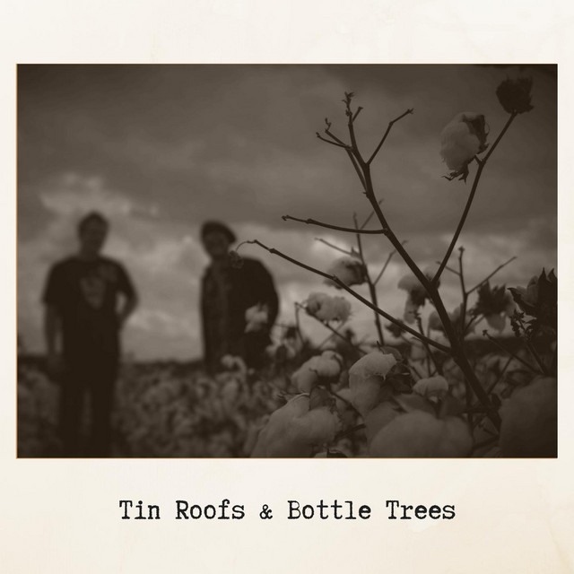 Tin Roofs & Bottle Trees album cover