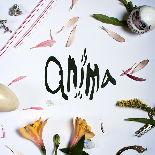 Anima album cover