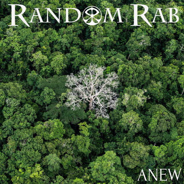 Anew album cover
