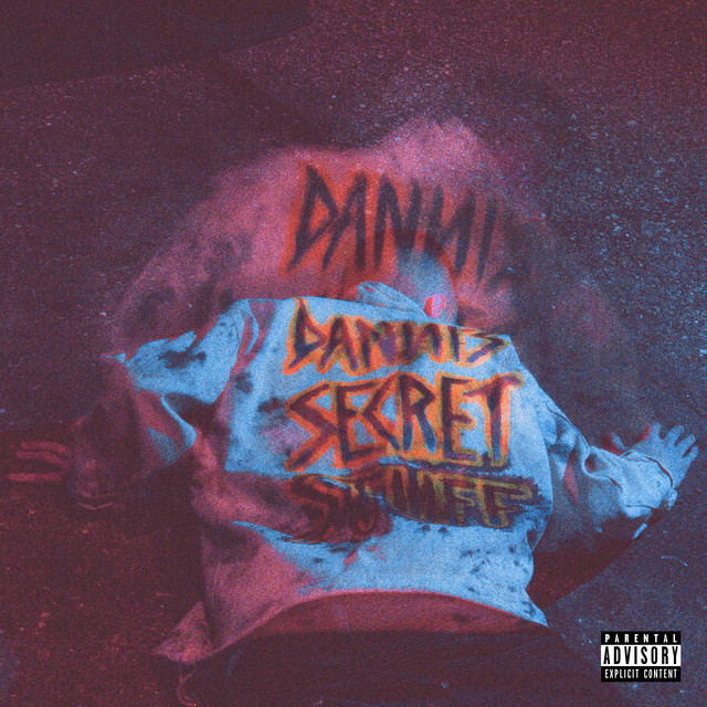 Danni´s Secret Stuff album cover