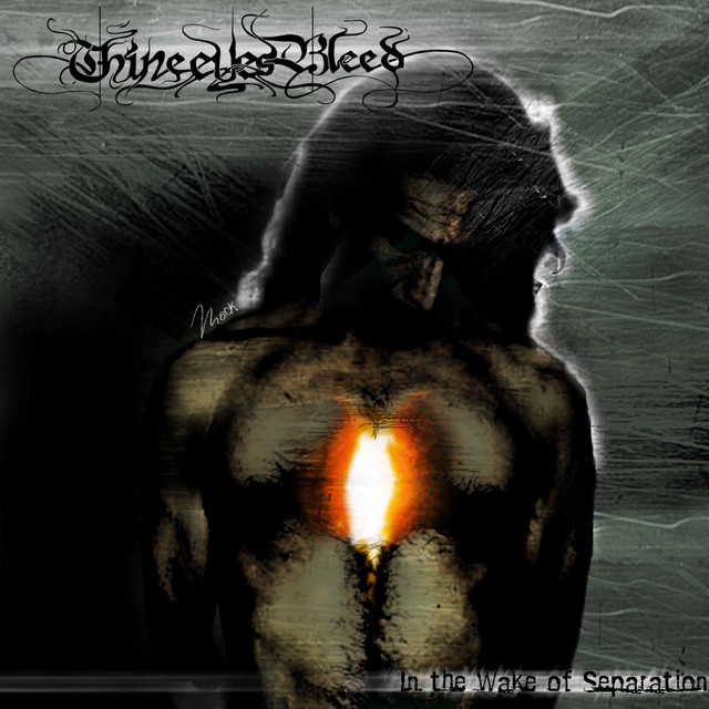 In The Wake Of Separation album cover