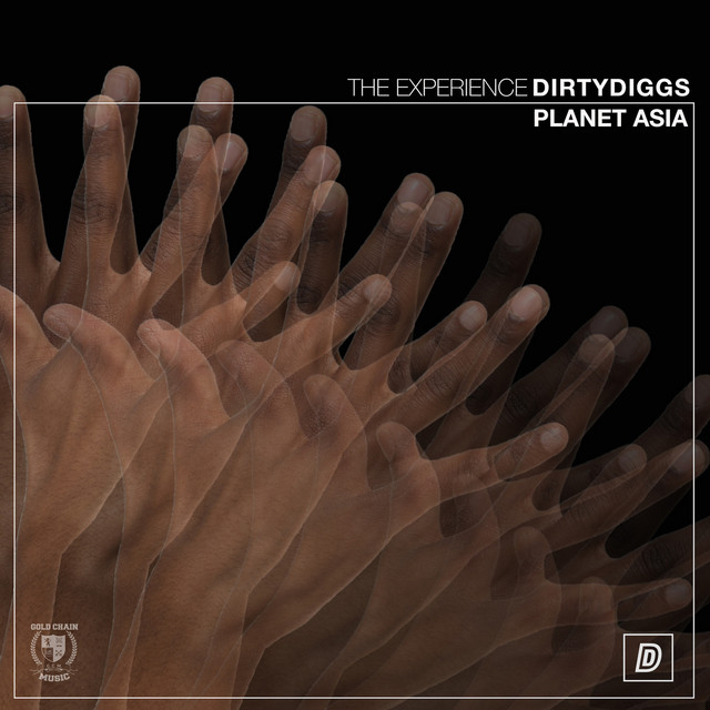 The Experience album cover