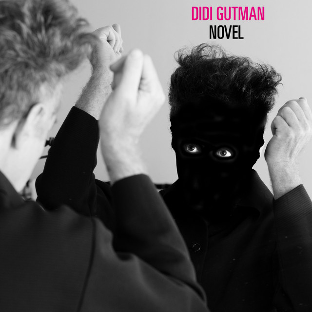 NOVEL album cover