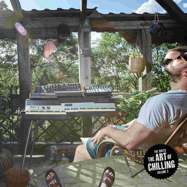 The Art of Chilling, Vol. 2 album cover