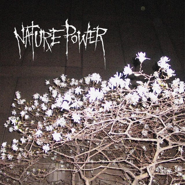 nature power album cover