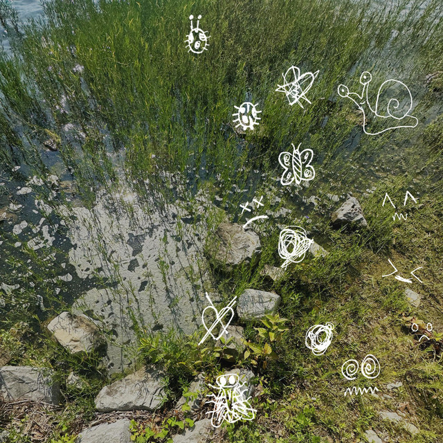 buglife album cover