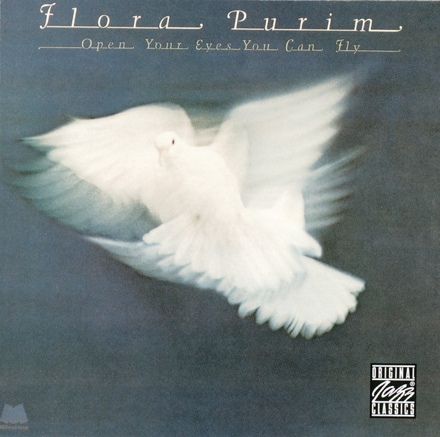 Open Your Eyes You Can Fly album cover