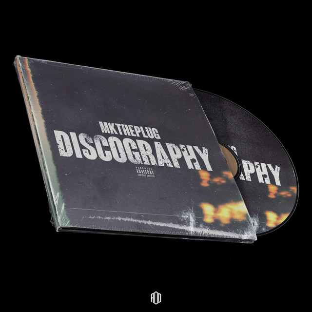 Discography album cover