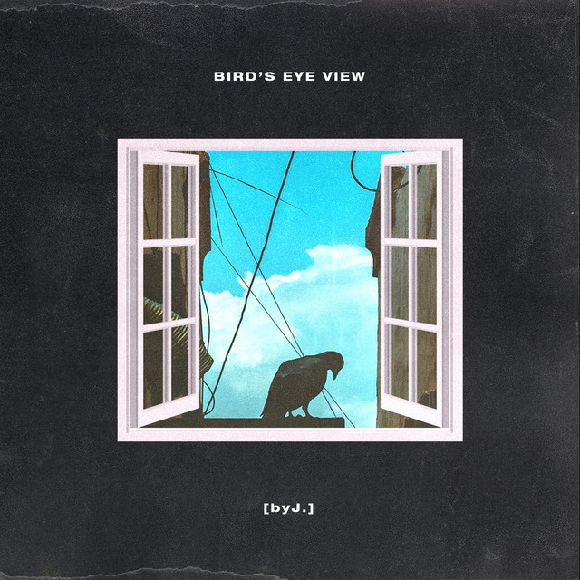 Bird's Eye View album cover