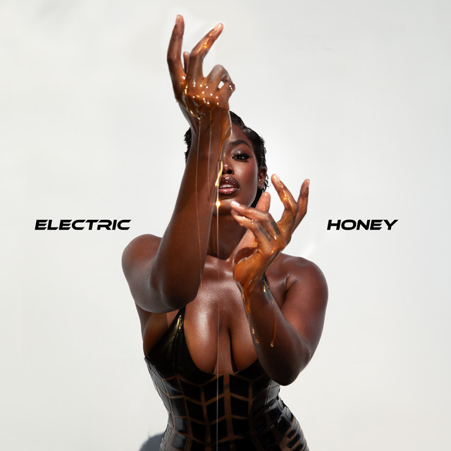 Electric Honey album cover