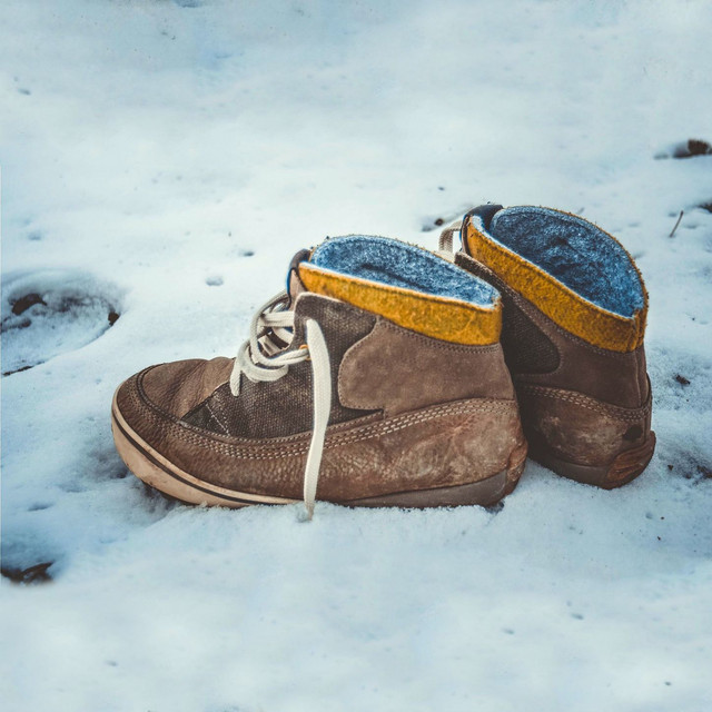 Snow in My Shoe album cover