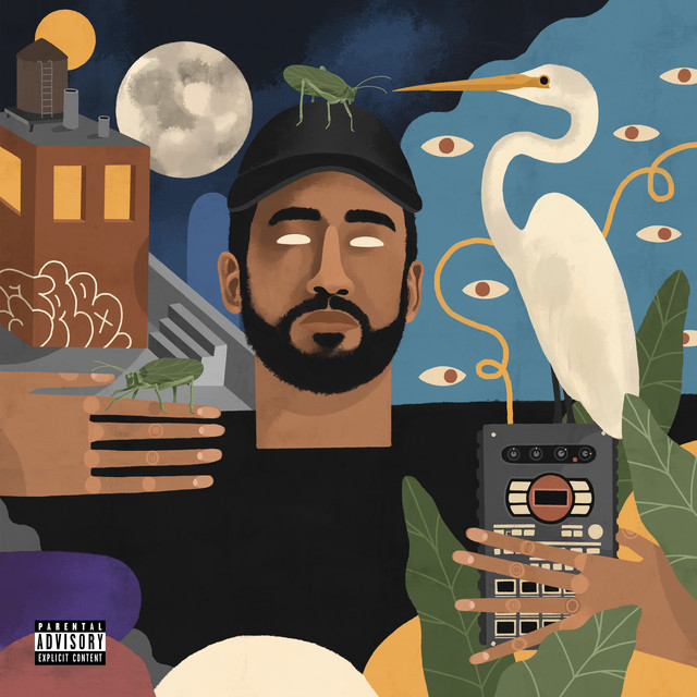 the wildest of dreams album cover