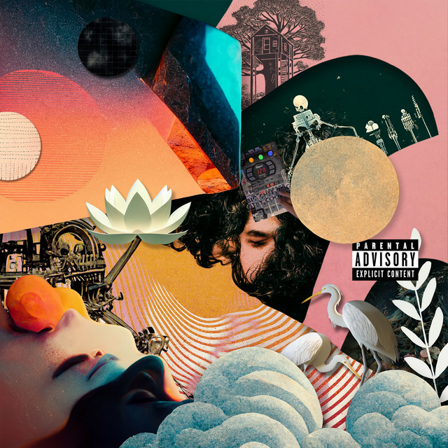 dumbmachine album cover