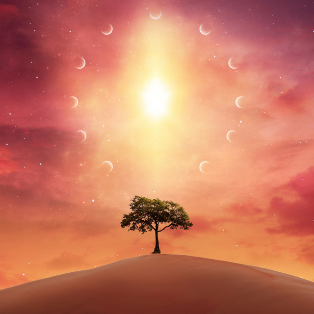 The Winds of Summer album cover
