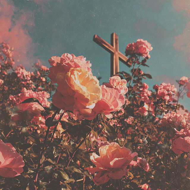 My King Is Alive! album cover