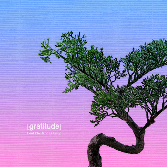 Gratitude album cover
